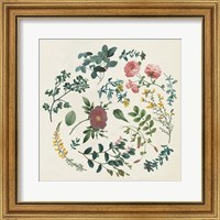 Framed 'Victorian Garden II' border=