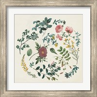 Framed 'Victorian Garden II' border=