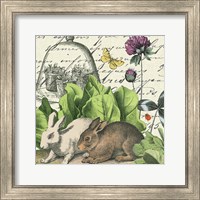 Framed 'Garden Rabbit II' border=