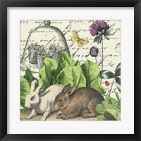 Framed 'Garden Rabbit II' border=