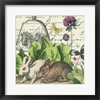 Framed 'Garden Rabbit II' border=