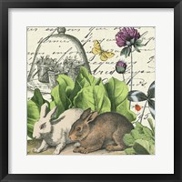 Framed Garden Rabbit II