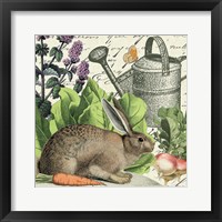 Framed 'Garden Rabbit I' border=