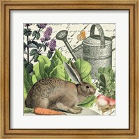 Framed 'Garden Rabbit I' border=