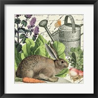 Framed Garden Rabbit I