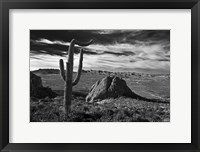 Framed Saguaros Lost Dutchman State Park Arizona Superstition Mtns 2