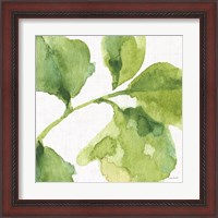 Framed 'Blue and Green Garden VII' border=