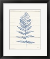 Framed Fern Print II Blue Crop