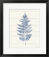 Framed Fern Print I Blue Crop