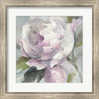 Framed Twilight Peony