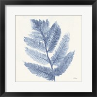 Forest Ferns I Blue Framed Print