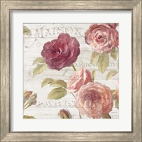 Framed 'French Roses V' border=