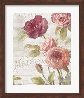 Framed French Roses III