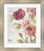 Framed French Roses III