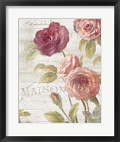 French Roses III Framed Print