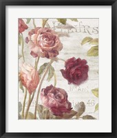 French Roses II Framed Print