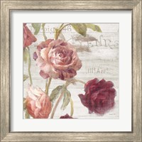 Framed 'French Roses IV' border=