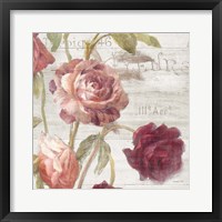 Framed 'French Roses IV' border=