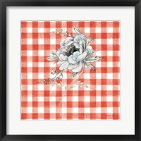 Sketchbook Garden VIII Red Checker Framed Print