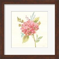 Framed 'Petals and Blossoms VII' border=