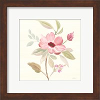 Framed 'Petals and Blossoms VI' border=