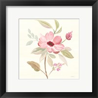 Framed 'Petals and Blossoms VI' border=