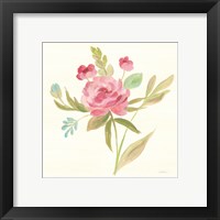 Framed 'Petals and Blossoms V' border=