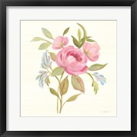 Petals and Blossoms IV Framed Print