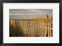 Framed Along the Fence I