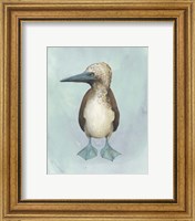 Framed 'Watercolor Beach Bird I' border=