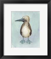 Framed 'Watercolor Beach Bird I' border=