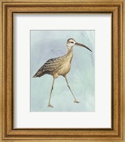 Framed 'Watercolor Beach Bird II' border=