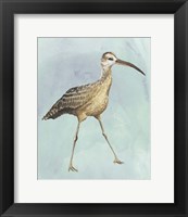 Framed 'Watercolor Beach Bird II' border=