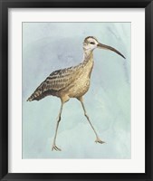 Framed 'Watercolor Beach Bird II' border=