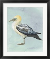 Framed 'Watercolor Beach Bird III' border=