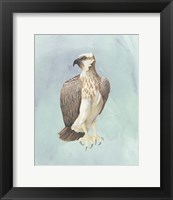 Framed 'Watercolor Beach Bird IV' border=