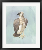 Framed 'Watercolor Beach Bird IV' border=