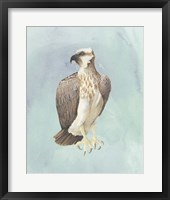 Framed Watercolor Beach Bird IV