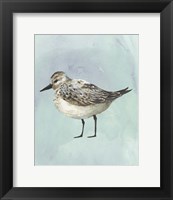 Framed 'Watercolor Beach Bird V' border=