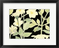 Framed White Night Flowers II