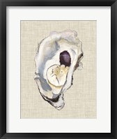 Oyster Shell Study IV Framed Print