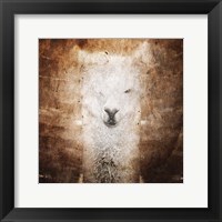 Framed Llama