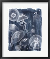 Framed Moon Jellies I