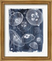 Framed 'Moon Jellies II' border=