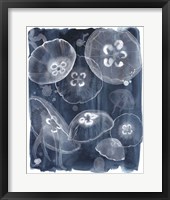 Framed Moon Jellies II