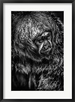 Framed Little Monkey 4 Black & White
