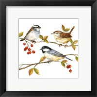 Framed 'Birds & Berries I' border=