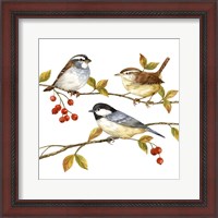 Framed 'Birds & Berries I' border=