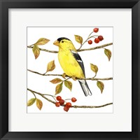 Framed 'Birds & Berries II' border=