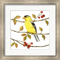 Framed 'Birds & Berries II' border=